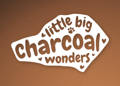 Labradorzucht - Little Big Charcoal Wonders